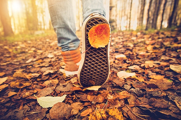 Fall Hike