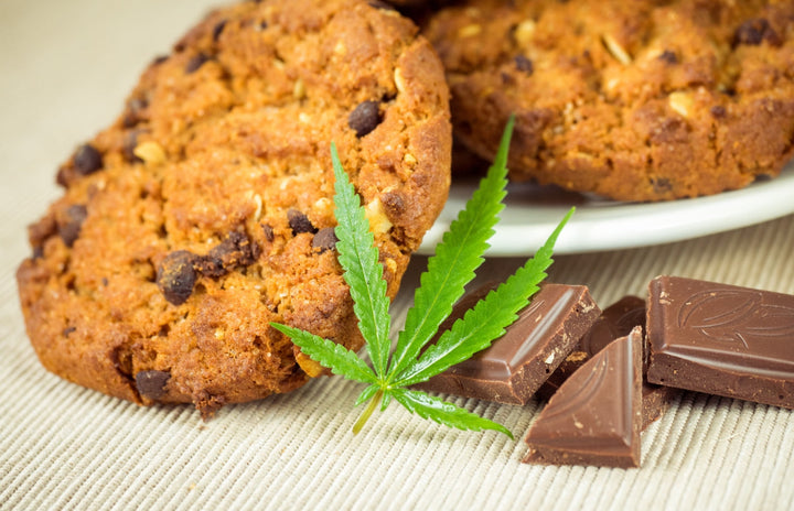 How Can CBD Affect Appetite