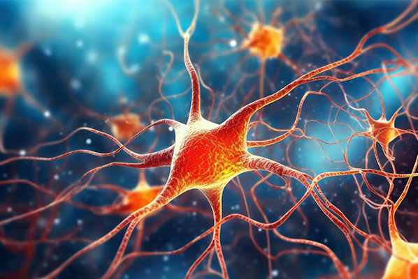 CBD &amp; Serotonin